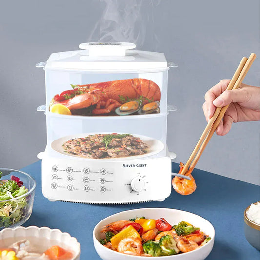 Electric Steamer And Defroster