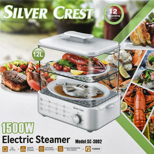 Electric Steamer And Defroster